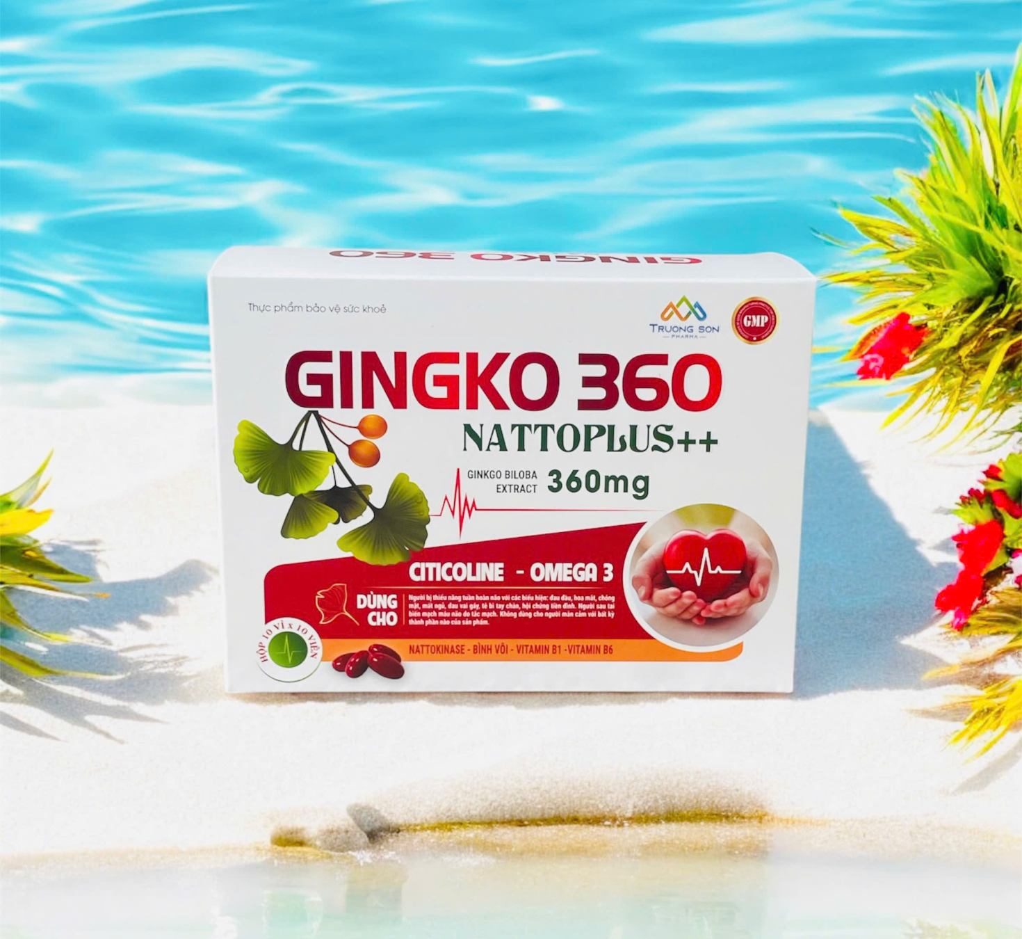 Gingko 360  Nattoplus 360mg