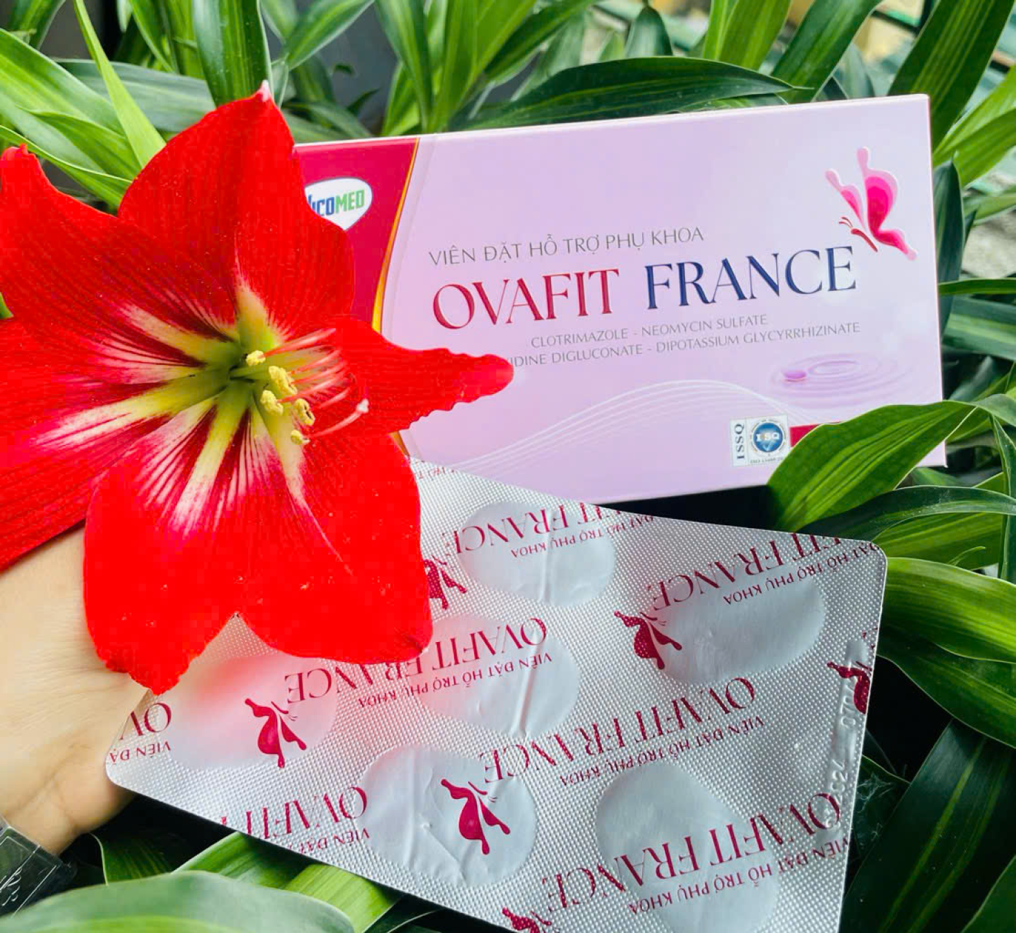 Viên đặt hỗ trợ phụ khoa Ovafit France