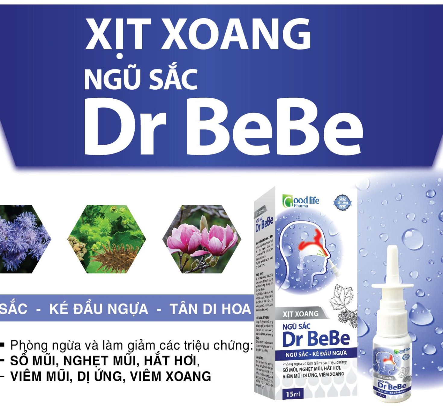 Xịt xoang ngũ sắc - Dr BeBe