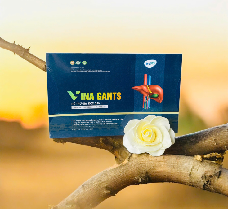 Giải độc gan Vina Gants