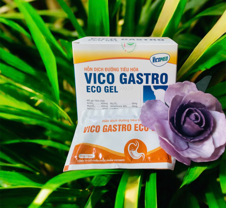 Hỗn dịch đường tiêu hoá Vico Gastro Eco Gel